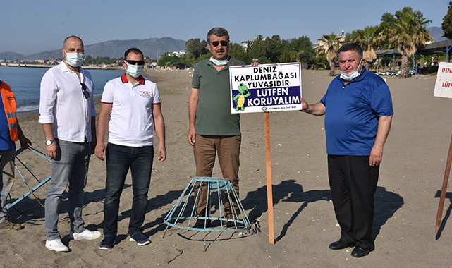 Deniz kaplumbağaları için uyarı levhaları konuldu