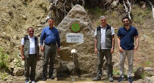 Anamur ormancılık faaliyetleri incelendi