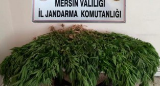 Jandarma ekiplerinden uyuşturucu operasyonu