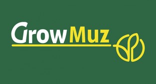 GrowMuz'dan davet