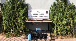 Jandarmadan uyuşturucu operasyonu