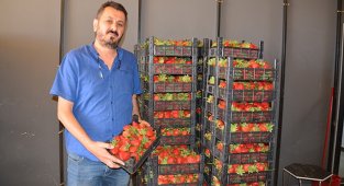 Gürgün Komisyon hizmete başladı