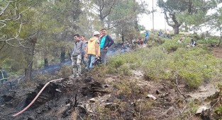 Uçarı'da çıkan yangın söndürüldü
