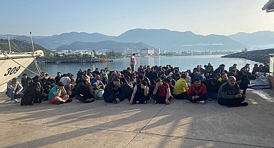 223 düzensiz göçmen yakalandı