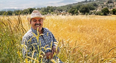 Büyükşehir'den buğday üretimine destek