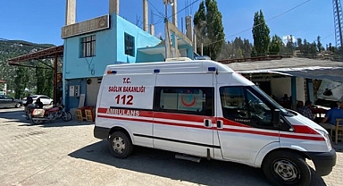 Abanoz'da ağaçtan düşen kişi hayatını kaybetti