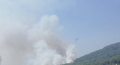 Bozdoğan ile Çarıklar'da orman yangını