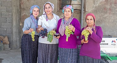 Büyükşehir’den üzüm üreticilerine makine desteği