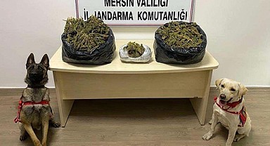 Mersin'de 21 kilo esrar ele geçirildi