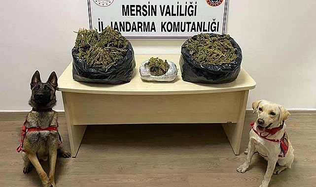 Mersin'de 21 kilo esrar ele geçirildi