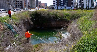 Büyükşehir'in ilaçlama ekibi kenti yaz aylarına hazırlıyor