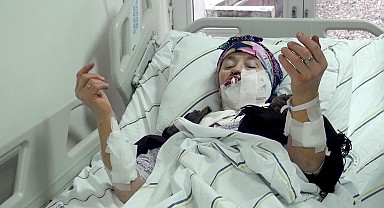 Köyde kurt dehşeti! 1'i ağır 4 kişi yaralandı