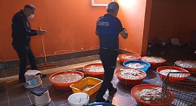 Yenişehir Belediyesi'nden kaçak sakatat deposuna baskın