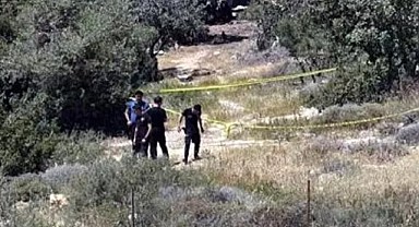Silifke'de ağaçlık alanda el bombası bulundu