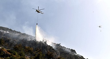 Aydın Söke’deki yangın kontrol altına alındı