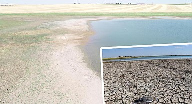 Binlerce kuşun yaşam alanı... Kabaklı Göleti'nde su, 10 metre çekildi