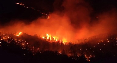 Gülnar'da orman yangını