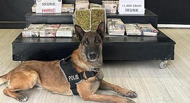 16 ilde uyuşturucu operasyonu... Bakan Yerlikaya duyurdu: 99 zehir taciri yakalandı
