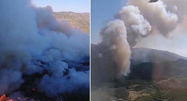 İzmir'de orman yangını: Havadan ve karadan müdahale ediliyor