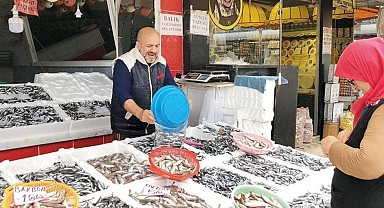 Rize'de hamsi bereketi moral oldu