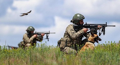 Sınırdan geçmeye çalışan 2 terörist yakalandı