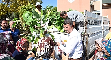 Anamur Belediyesi ücretsiz avokado fidanı dağıttı