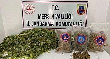 Jandarmadan uyuşturucu operasyonu: 1 tutuklama