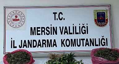 Mersin'de 38 kilo esrar ele geçirildi