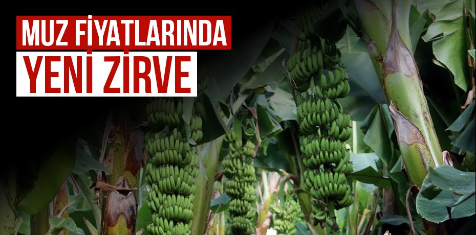 Muz fiyatlarında yeni zirve