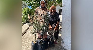 Kiraz Teyze'den toprağa vefa: 80 yaşında zeytin fidanı dikti