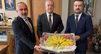 MHP'li Yöneticiler Ankara'da Anamur'un sorunlarını gündeme taşıdı