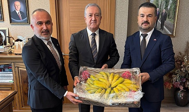 MHP'li Yöneticiler Ankara'da Anamur'un sorunlarını gündeme taşıdı