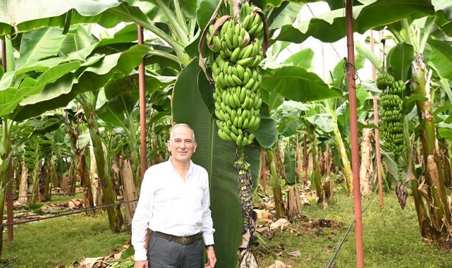 Başkan Deniz: Muz üreticilerimizi ithalat karşısında ezdirmeyeceğiz