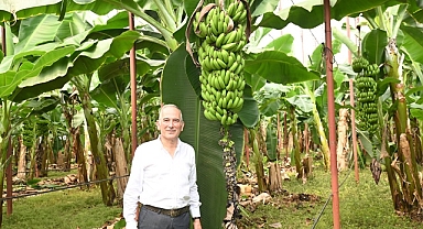 Başkan Deniz: Muz üreticilerimizi ithalat karşısında ezdirmeyeceğiz