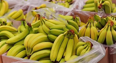 Market raflarında muz fiyatları cep yakıyor