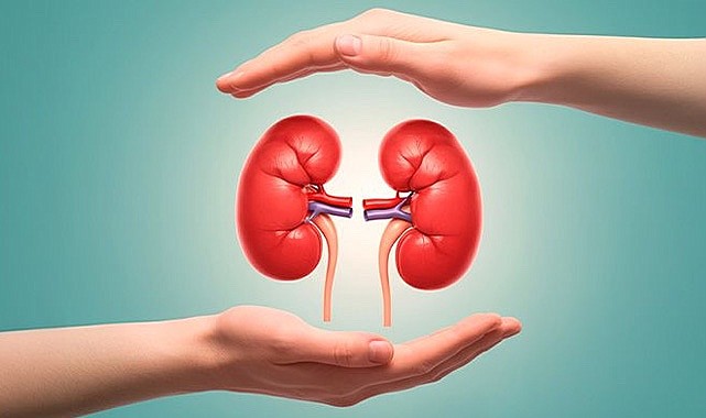 Sağlık Müdürlüğü’nden böbrek sağlığı uyarısı