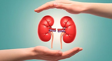 Sağlık Müdürlüğü’nden böbrek sağlığı uyarısı