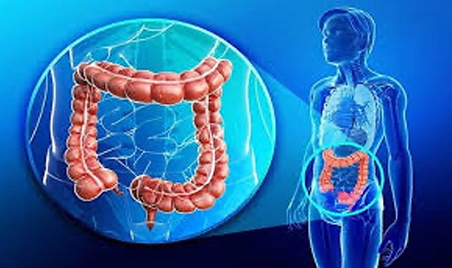 Sağlık Müdürlüğü’nden kolorektal kanser bilgilendirmesi
