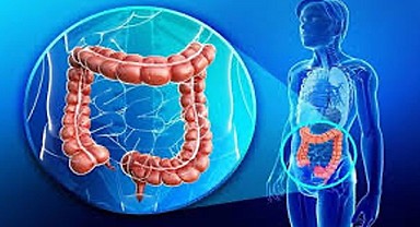 Sağlık Müdürlüğü’nden kolorektal kanser bilgilendirmesi