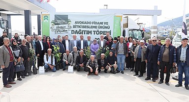 Anamur'da üreticilere 4 bin 447 avokado fidanı dağıtıldı