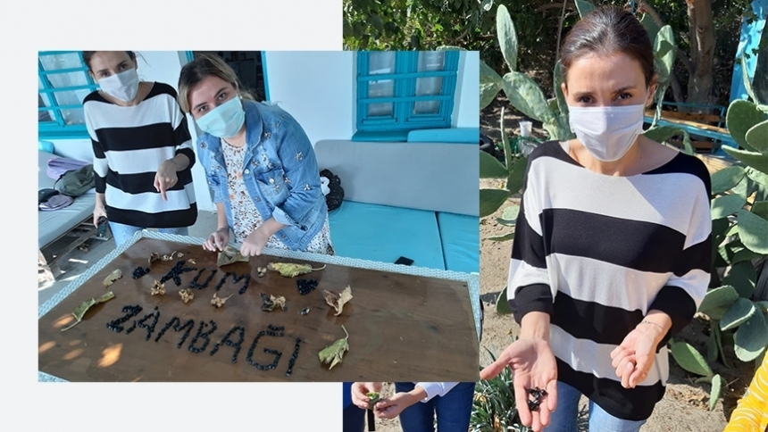 Kıbrıs İlkokulu kum zambağı tohumları topluyor