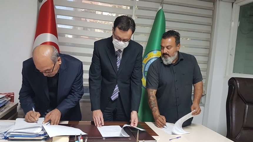 Soğuğa dayanıklı muz çeşidi geliştirilecek