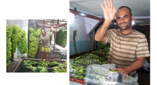 Muz işçisinin görüntüleri izleyenleri gülümsetti