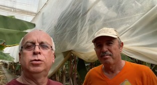 Neden sürekli verim?