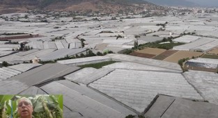 Dönüme 11 ton verim nasıl alınır?